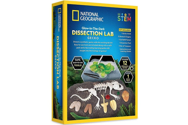 National Geographic: Gecko Dissection Lab