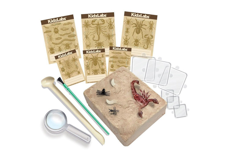 4M: KidzLabs - Creepy Crawly Digging Kit