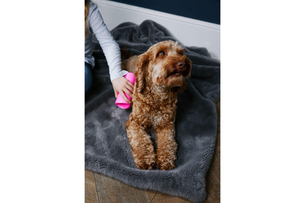 Pet Teezer: Detangling Brush - Pink/Yellow