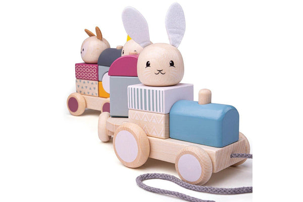 Bigjigs Toys 38cm FSC Activity Pull Along Train Kids Wooden Stacking Toy 12m+