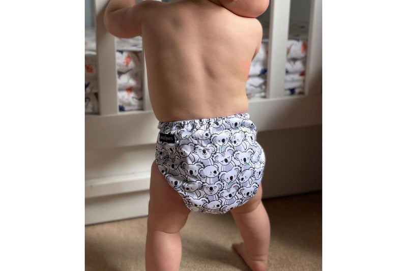 Snazzi Pants: All In One Reusable Nappy - Whale