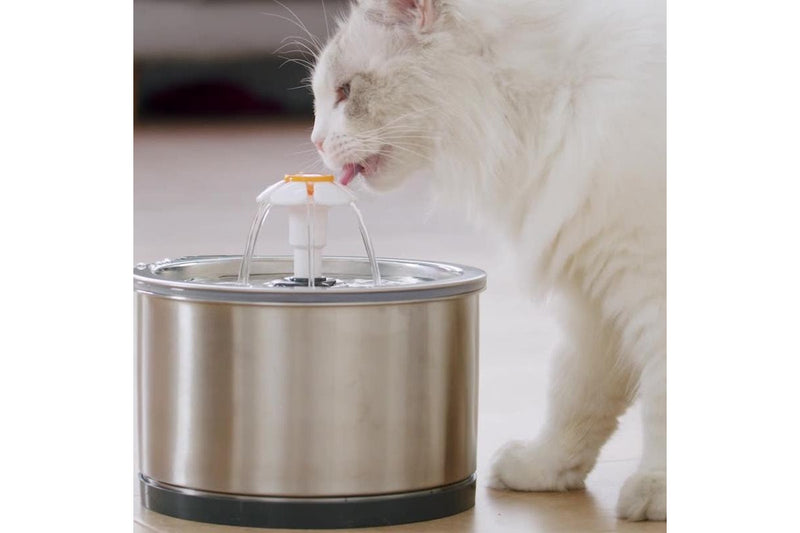 Pet Water Dispenser Stainless Steel Water Feeder