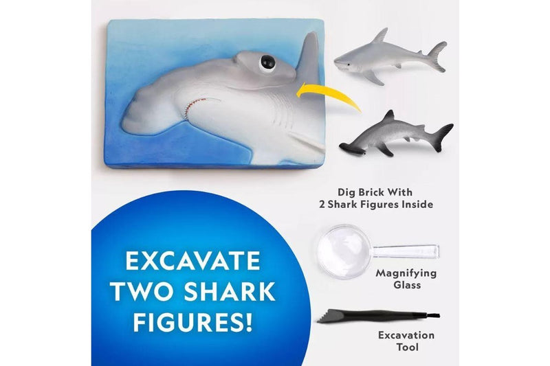 National Geographic: Shark Dig Kit