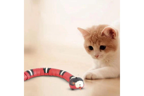 Smart Sensing Interactive Automatic Electronic Snake Cat Toys