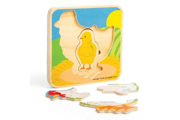 7pc Bigjigs Toys Lifecycle Puzzle Chicken Kids Children Sensory Wooden Toy 18m+