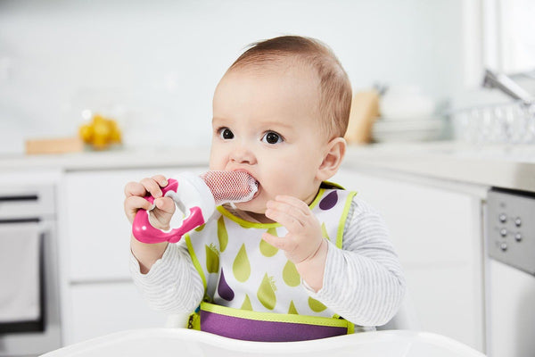 b.box: Fresh Food Feeder - Raspberry