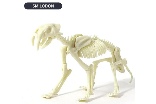 Dig & Discover: Smilidon (Saber-Tooth Tiger) Dig Kit