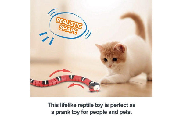 Pet Cat Toys Smart Sensing Snake USB Charging Electron Interactive Toy