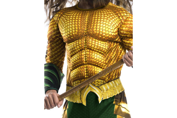 DC Comics: Aquaman - Deluxe Costume (Large)