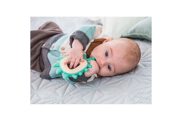 Hape: Teether Hedgehog