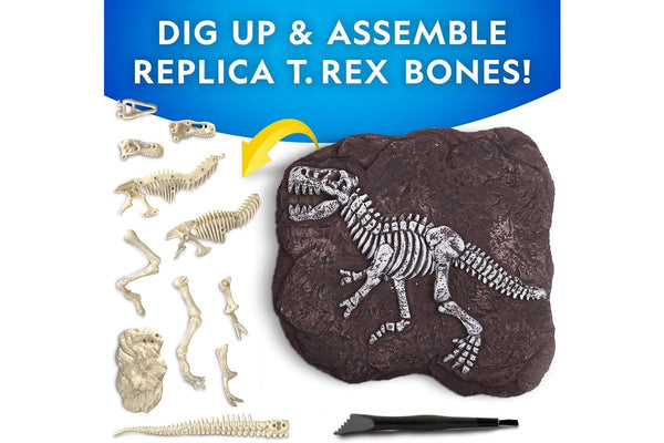 National Geographic: T-Rex Skeleton Dig Kit