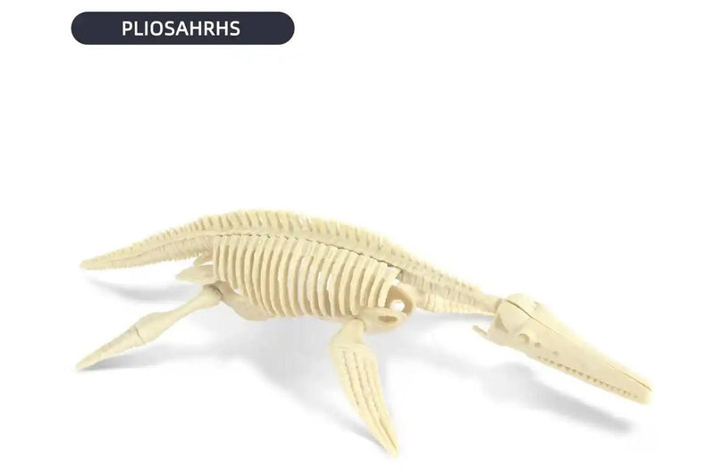 Dig & Discover: Pliosaurus Dig Kit