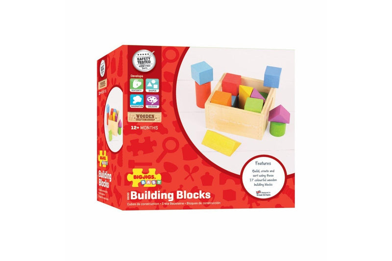 17pc Bigjigs Toys First Building Blocks Wooden Toy Kids Fun Activity Play 12m+