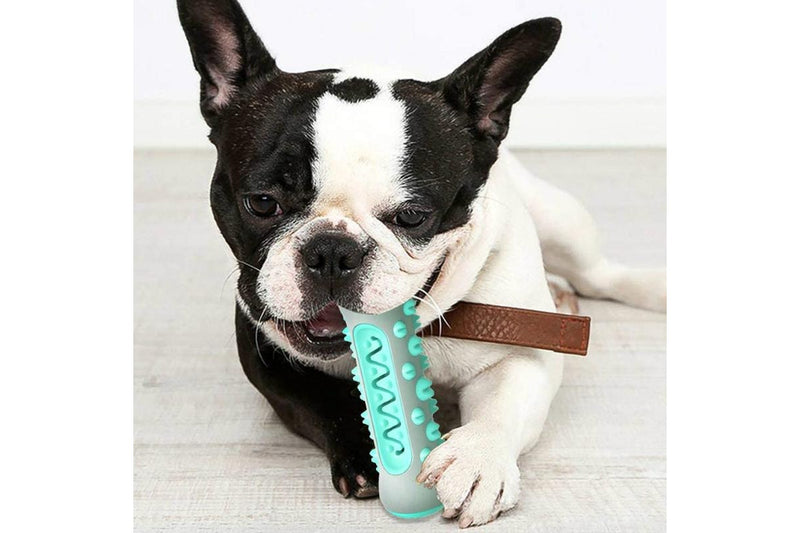 Dog Chew & Teeth Cleaning Toy - Blue