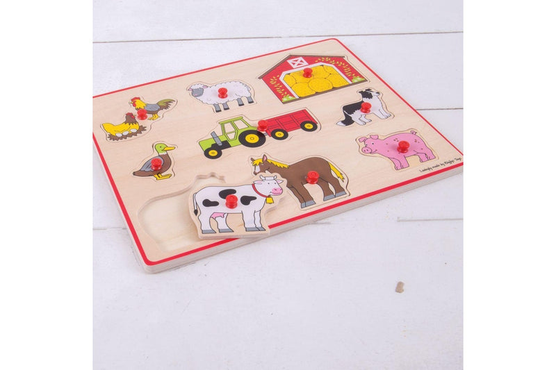 9pc Bigjigs Toys 30cm Lift Out Puzzle Farm Kids Children Wooden Sensory Toy 3y+