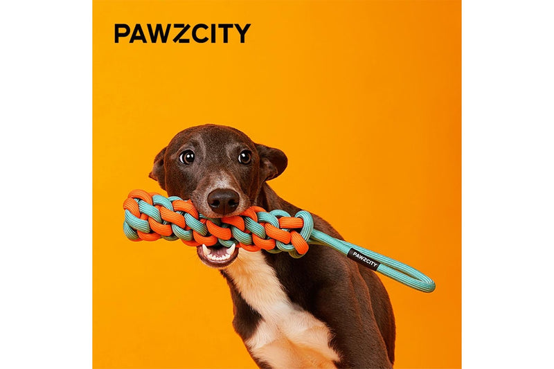 2x Pawzcity 30cm Interactive Rope Stick Dog Pet Play Chew Toy w Loop Rockmelon