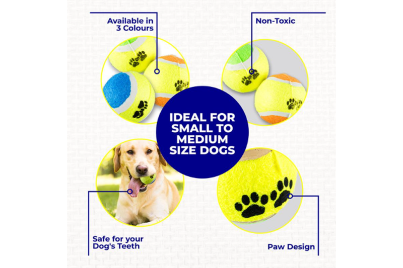 Costcom Pet Fetch Game Interactive Play Tennis Balls & 10CM Tumbler Treat Dispenser 3 Pcs