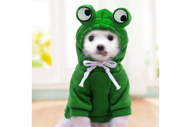 PETSWOL Large Pet Jacket - Frog