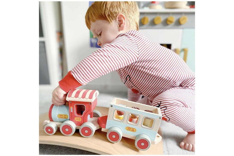 Indigo Jamm 38cm Sammy Steam Train Kids Children Interactive Wooden Toy Set 18m+