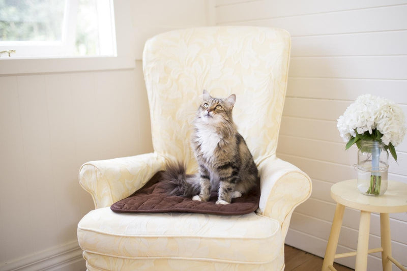 Brolly Sheets: Pet Chair Pad / Place Mat - Brown (Small)