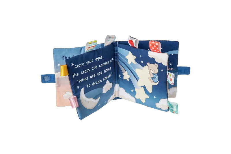 Mary Meyer: Taggies Starry Night Teddy Book