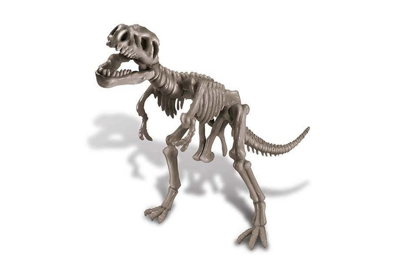 4M KidzLabs Dig a Dinosaur Assemble Play Skeleton T-Rex Kids Learning Toy 8y+