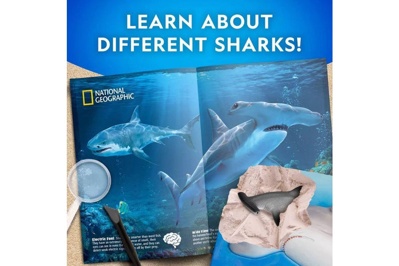 National Geographic: Shark Dig Kit