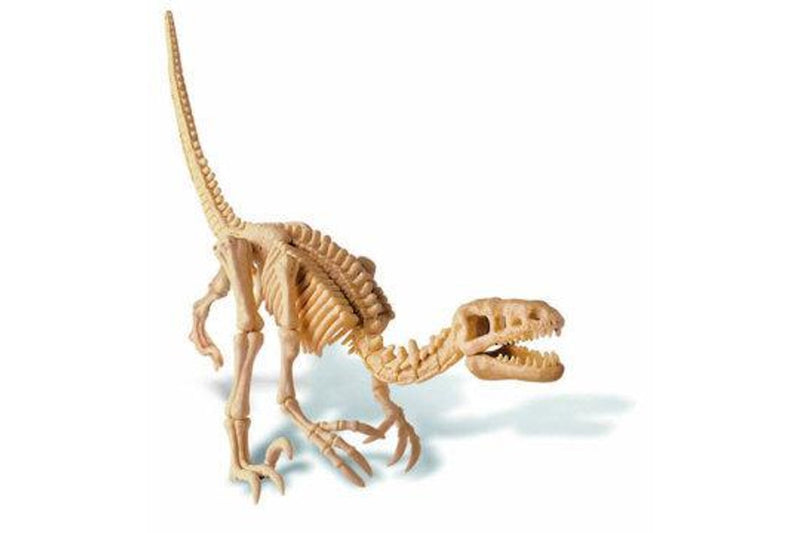 4M: Excavation Kits - Velociraptor Skeleton