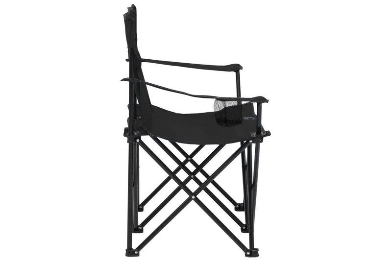 2-Seater Foldable Camping Chair Steel and Fabric Black vidaXL