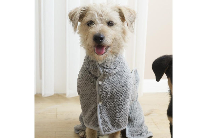 PETSWOL Small Dog Bath Robe - Gray