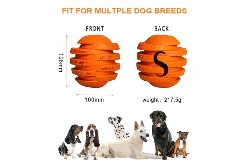 2x Petopia Ultra Tough Rubber Zesty Orange Dog Toy Chew Treat Reward Dental Sml