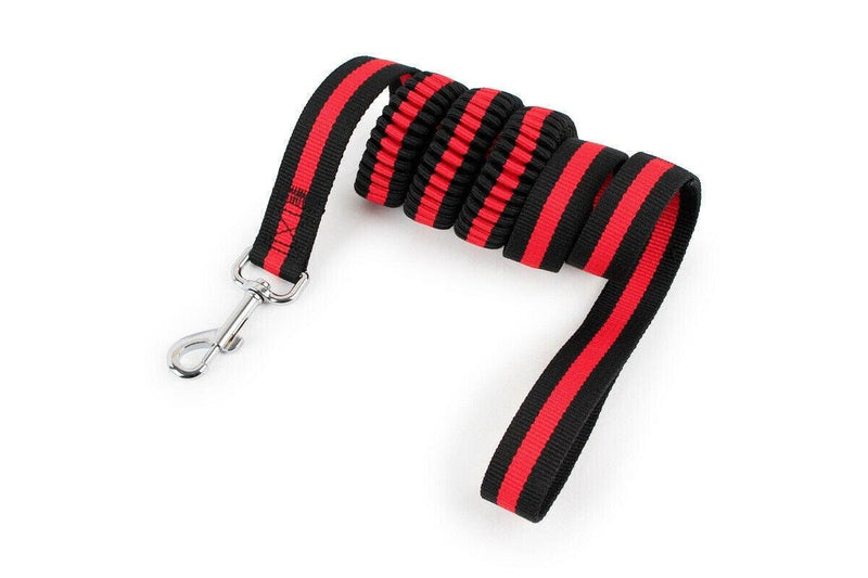 1.2m Strong Nylon Pet Dog Lead Leash Cat Training Collar