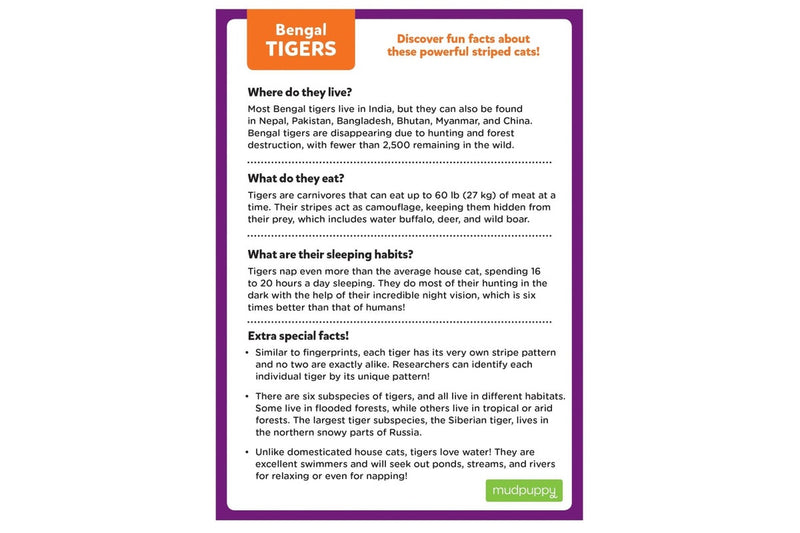 Mudpuppy: Bengal Tiger - Mini Puzzle