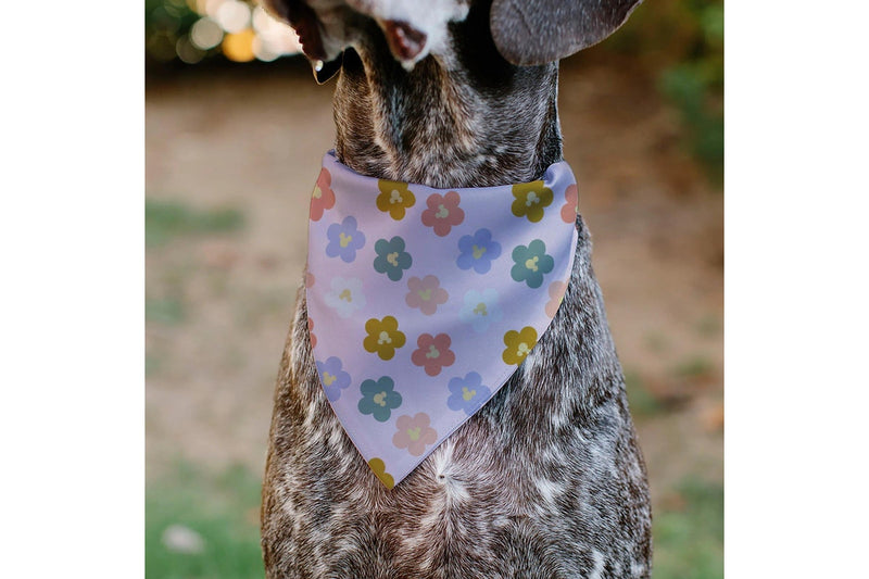 Disney: Mickey Mouse Flower Icon - Pet Bandana