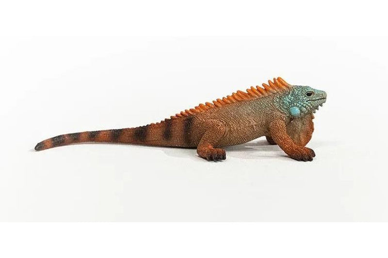 Schleich - Iguana