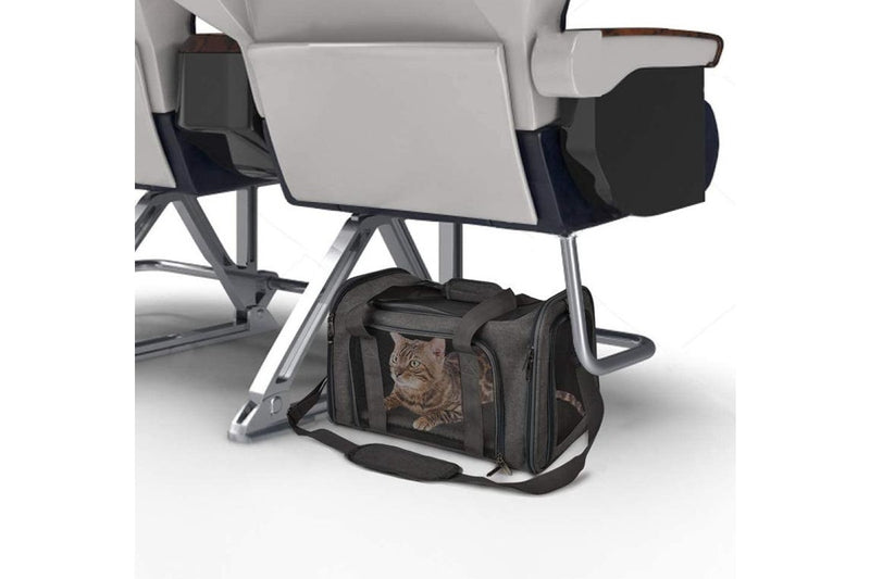 Collapsible Pet Carrier