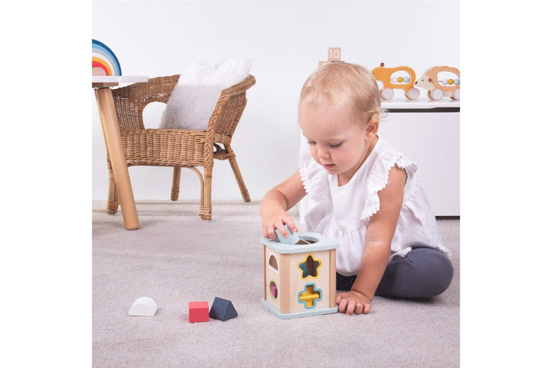 Bigjigs Toys 13cm FSC Shape Sorter Kids Children Educational Wooden Play Toy 1+