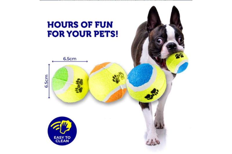 Costcom Pet Fetch Game Interactive Play Tennis Balls & 10CM Tumbler Treat Dispenser 3 Pcs