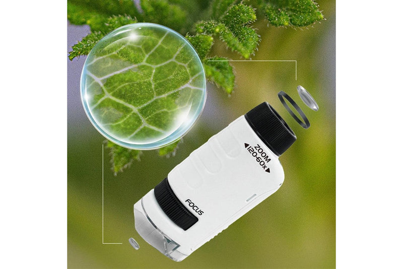 60X-120X Pocket Kids Microscope Portable Handheld Miniscope White