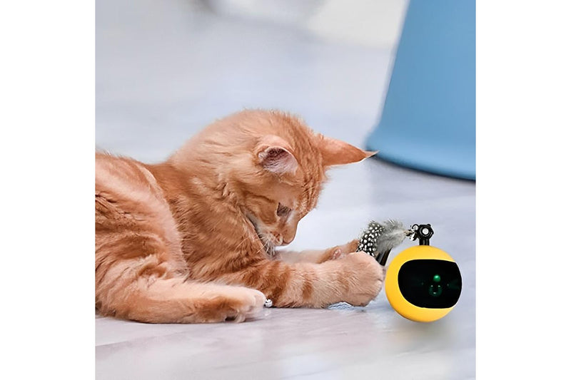 PETSWOL Interactive Cat Toy Ball with Remote Control - Yellow