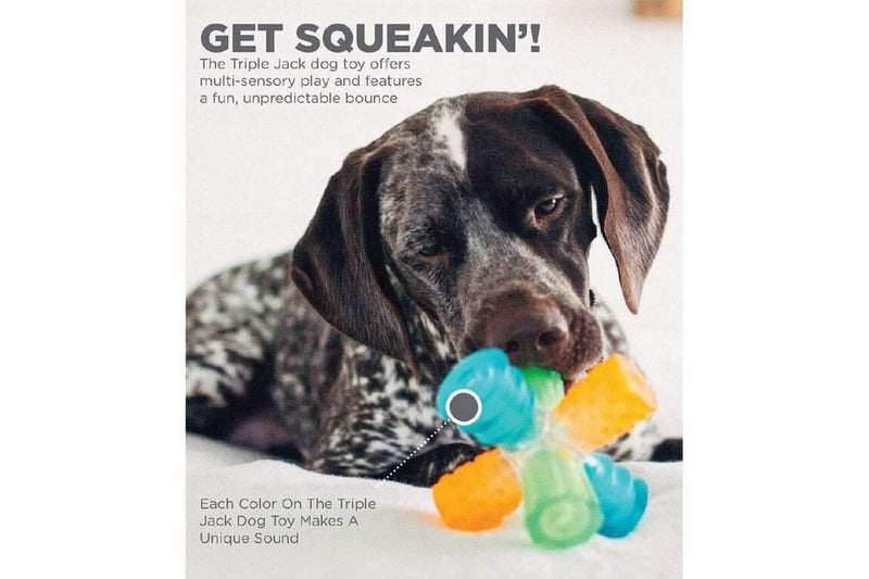 Outward Hound: Triple Jack Interactive Multi-Squeak - Dog Toy