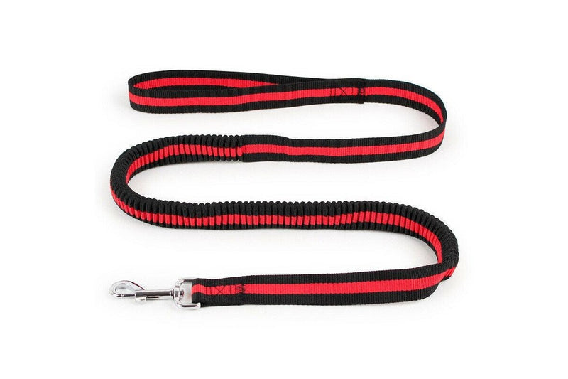 1.2m Strong Nylon Pet Dog Lead Leash Cat Training Collar