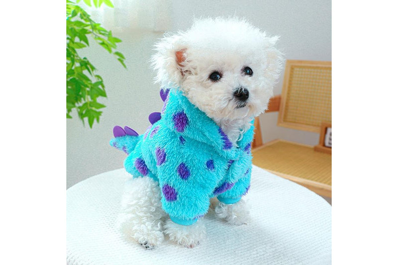 Dinosaur S Pet Coat