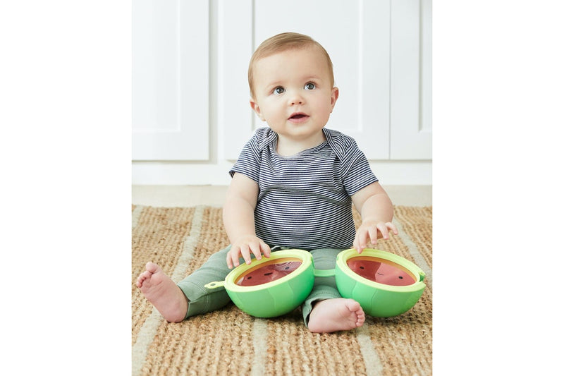 Skip Hop: Farmstand Watermelon Drum