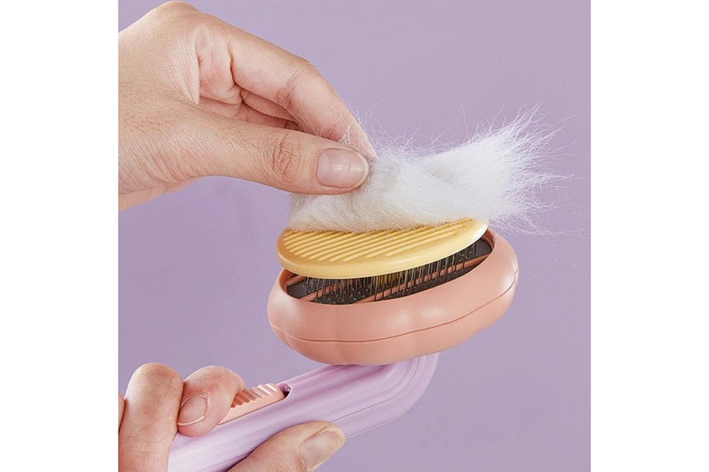 Pumpkin Pet Brush - Purple