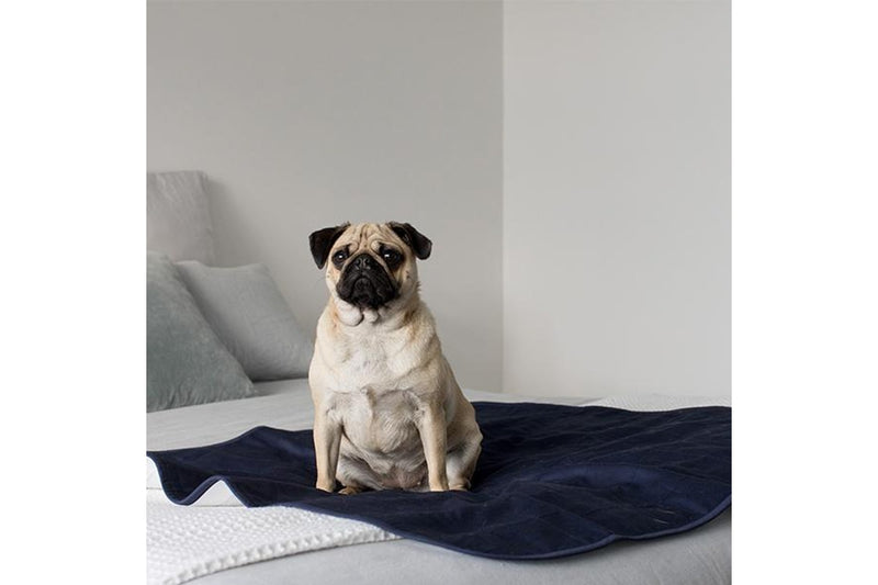 Brolly Sheets: Pet Bed Pad - Grey