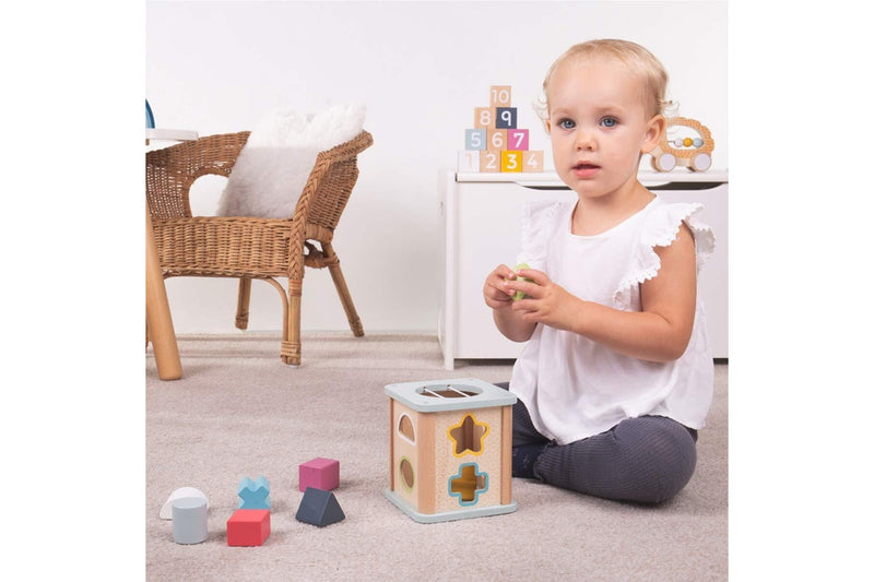 Bigjigs Toys 13cm FSC Shape Sorter Kids Children Educational Wooden Play Toy 1+