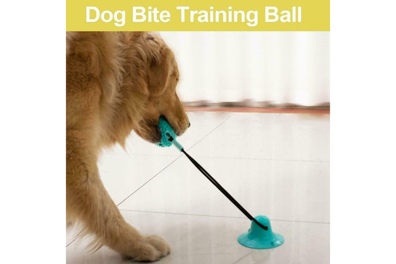 Costcom Interactive Rubber Pet Molar Bite Floor Suction Cup Dog Balls Puppy Chew Toy AUS