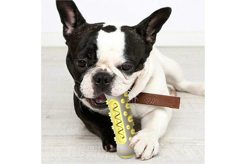 Dog Chew & Teeth Cleaning Toy - Yellow