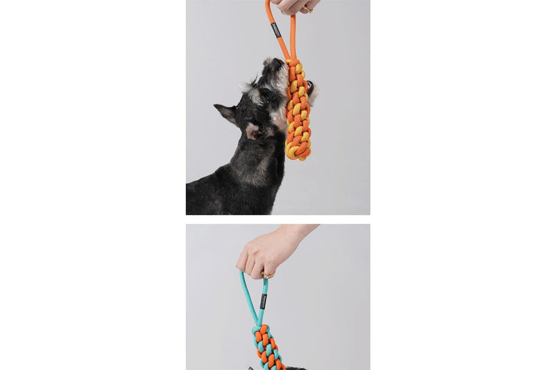 2x Pawzcity 30cm Interactive Rope Stick Dog Pet Play Chew Toy w Loop Rockmelon